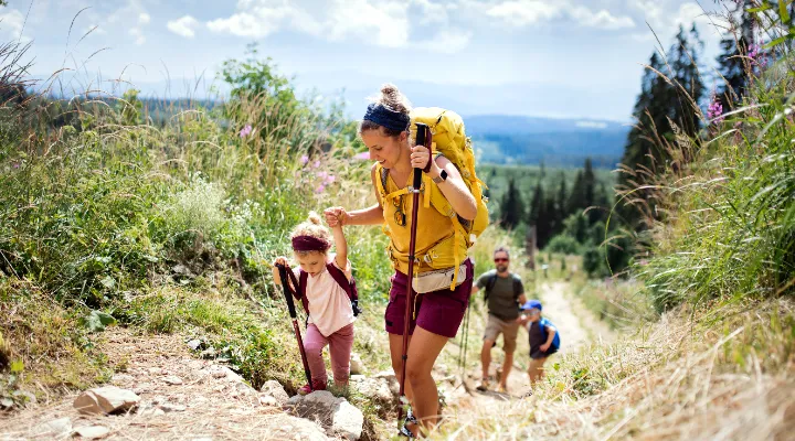 Summer tick invasion? What can we do in case of a tick bite, and how can we prevent them?