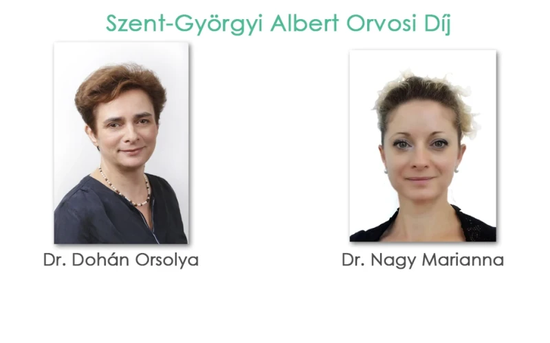 orvosi_dij_cikk_2